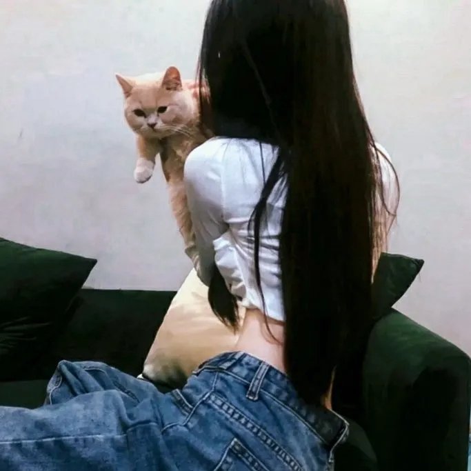这!就是世界波